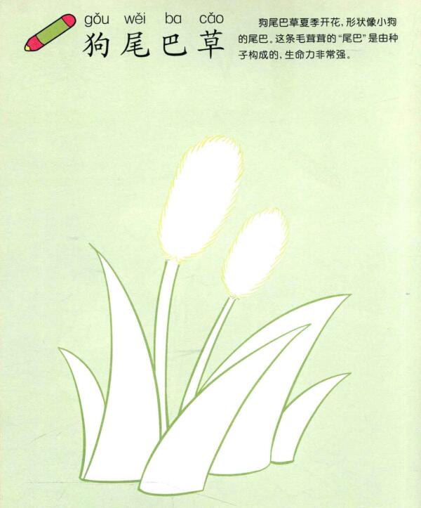 狗尾巴草兒童畫