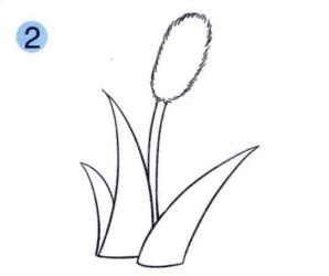 狗尾巴草兒童畫畫法步驟02