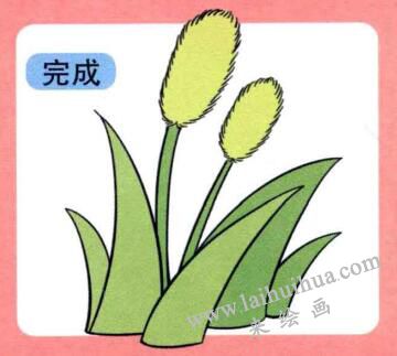 狗尾巴草兒童畫