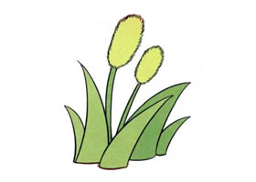 狗尾巴草兒童畫