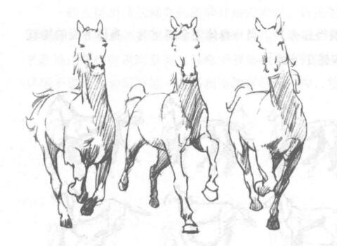 如何素描運動中的馬？