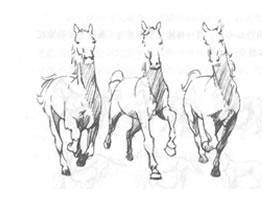 如何素描運(yùn)動(dòng)中的馬？