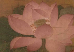 《出水芙蓉圖》賞析