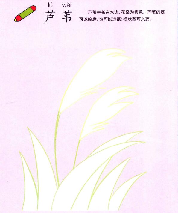 蘆葦兒童畫
