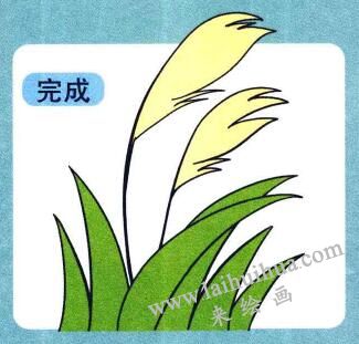 蘆葦兒童畫