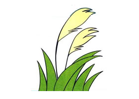 蘆葦兒童畫