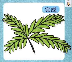 含羞草兒童畫