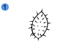 蒼耳兒童畫(huà)畫(huà)法步驟01