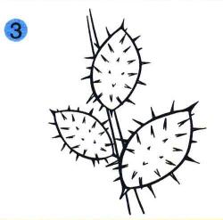 蒼耳兒童畫(huà)畫(huà)法步驟03