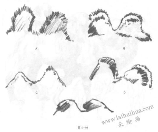 雙峰駱駝素描畫法02