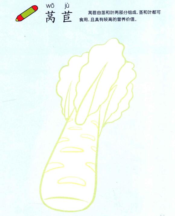 萵苣兒童畫法