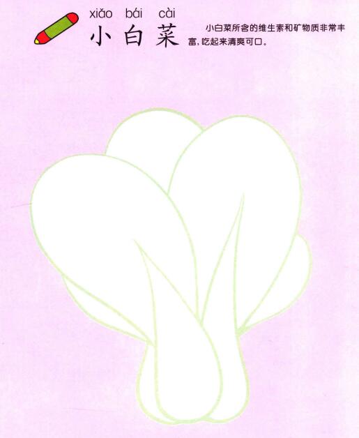 小白菜兒童畫
