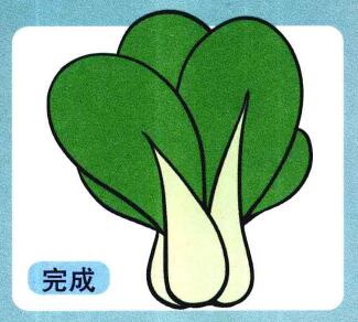 小白菜兒童畫