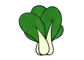 小白菜兒童畫