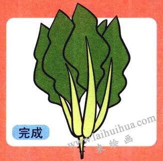 菠菜兒童畫
