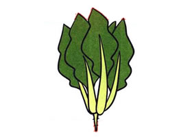 菠菜兒童畫