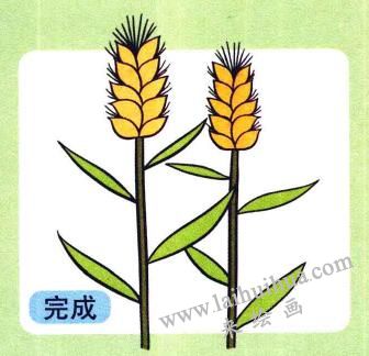 小麥兒童畫