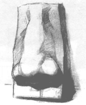 石膏鼻子素描畫法步驟03