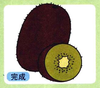 獼猴桃兒童畫
