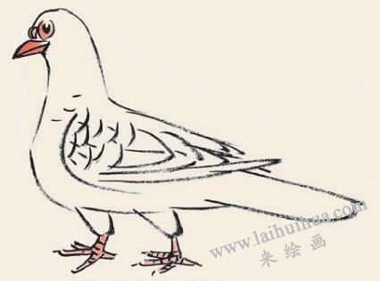 鴿子兒童國畫