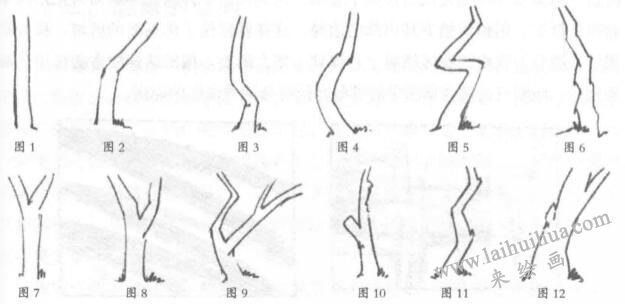 如何素描樹(shù)干？風(fēng)景素描入門(mén)之樹(shù)干的畫(huà)法