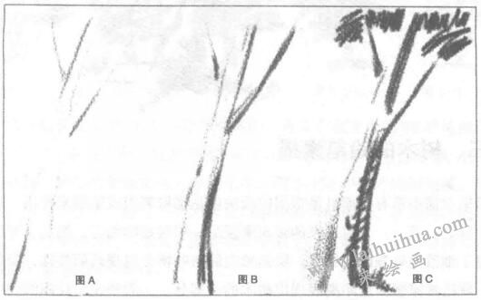 樹的素描繪制01