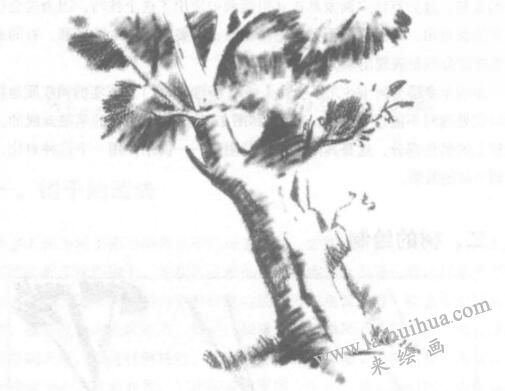 樹的素描畫法