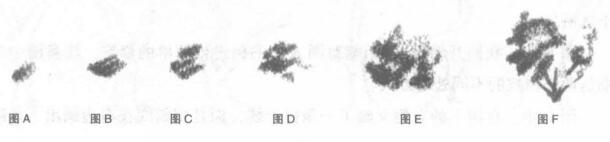 樹木的鉛筆素描畫法01