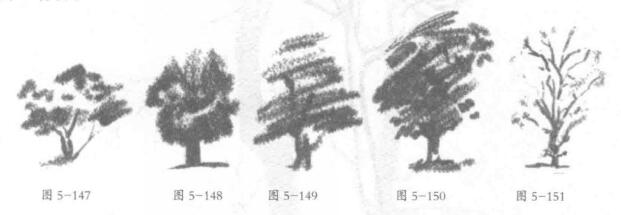 樹木的鉛筆素描畫法02