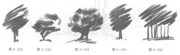 樹木的鉛筆素描畫法03