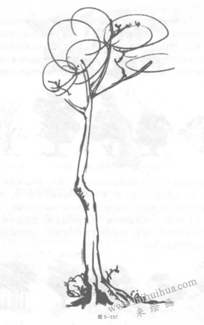 樹木的鉛筆素描畫法04