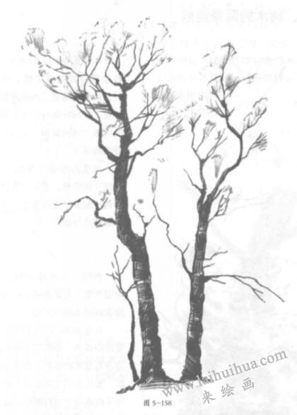 樹木的鉛筆素描畫法05