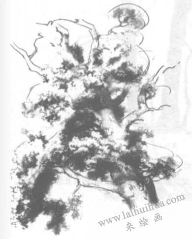 樹木風(fēng)景素描繪制方法02