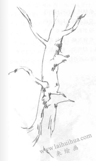 樹木風(fēng)景素描繪制方法03
