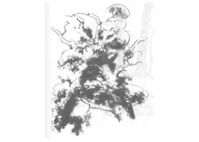 樹木風(fēng)景素描繪制方法