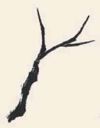 柳樹兒童國畫畫法步驟01