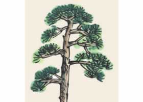 松樹兒童國(guó)畫