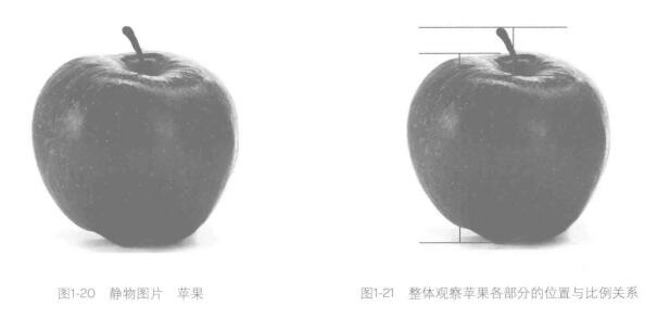 如何畫好素描畫：整體觀察