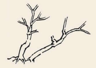 野渡春風(fēng)兒童國畫畫法步驟01