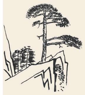 黃山奇松兒童國畫畫法步驟03