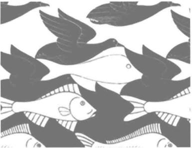 鳥變魚局部