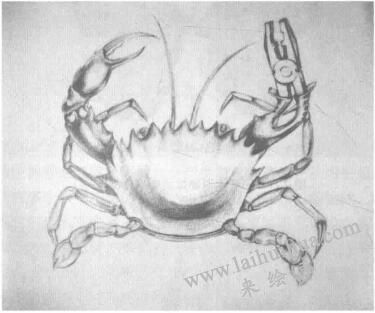 功能相似物體的替換作品一，設(shè)計(jì)素描替換法