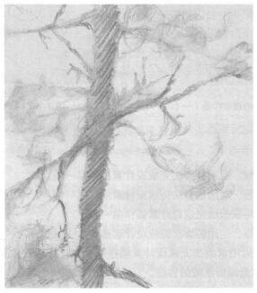 構(gòu)成意象的作品