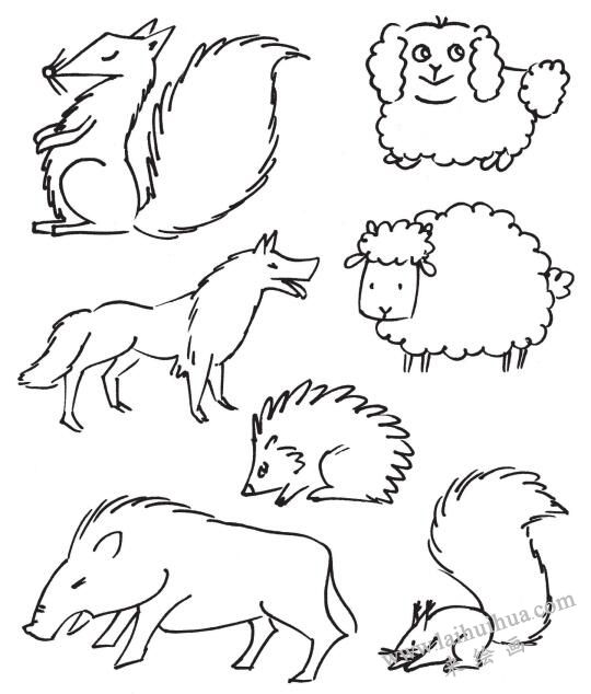 簡筆畫技巧之動物毛發(fā)的表現(xiàn)