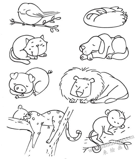 簡筆畫技巧之睡眠中的動物