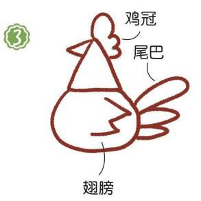 草地上的公雞簡筆畫畫法步驟03