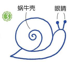 草地上的蝸牛簡筆畫畫法步驟03