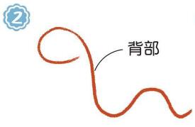 草地上的蛇簡筆畫畫法步驟02
