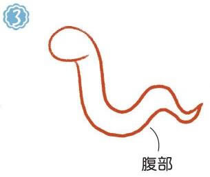 草地上的蛇簡筆畫畫法步驟03