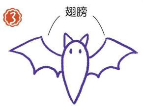 夜空中的蝙蝠簡(jiǎn)筆畫畫法步驟03